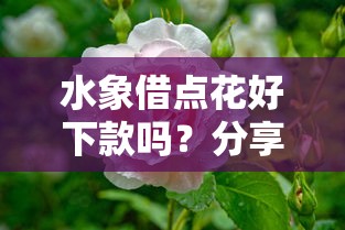 水象借点花好下款吗？分享快速下款技巧和注意事项