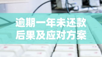 逾期一年未还款后果及应对方案