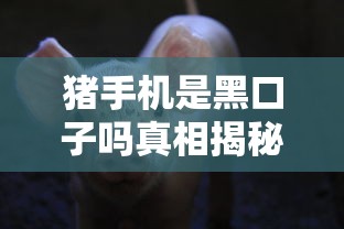 猪手机是黑口子吗真相揭秘