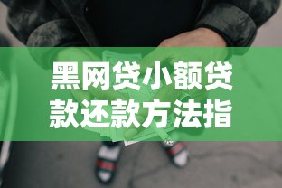 黑网贷小额贷款还款方法指南