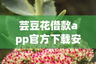 芸豆花借款app官方下载安装教程
