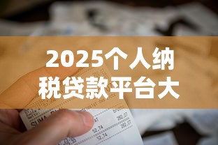 2025个人纳税贷款平台大全