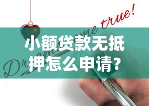 小额贷款无抵押怎么申请？快速放款低息靠谱平台推荐