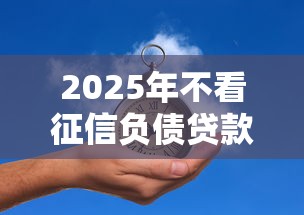 2025年不看征信负债贷款平台推荐