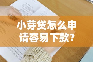 小芽贷怎么申请容易下款？掌握这5个技巧快速通过审核