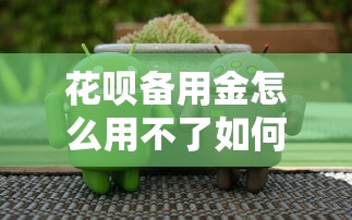 花呗备用金怎么用不了如何解决恢复正常使用