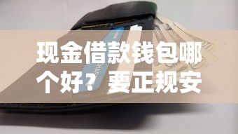 现金借款钱包哪个好？要正规安全放款快的