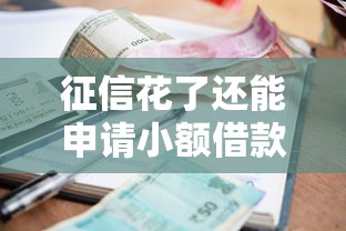 征信花了还能申请小额借款吗