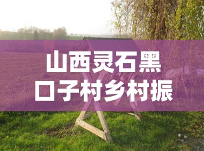 山西灵石黑口子村乡村振兴新举措