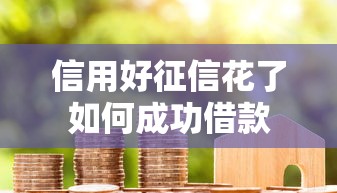 信用好征信花了如何成功借款