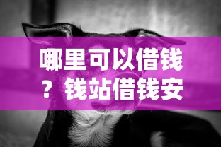 哪里可以借钱？钱站借钱安全靠谱吗