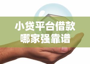 小贷平台借款哪家强靠谱