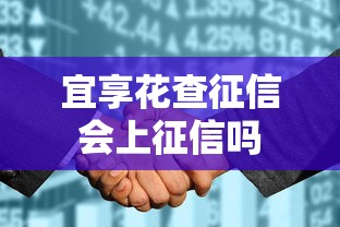 宜享花查征信会上征信吗