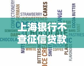 上海银行不查征信贷款产品推荐