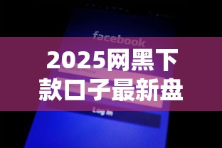 2025网黑下款口子最新盘点