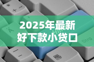 金瀛分期近期下款成功率解析
