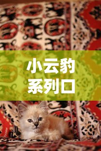 小云豹系列口子哪个靠谱好下款