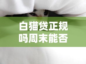 白猫贷正规吗周末能否放款