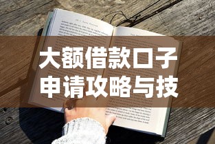 大额借款口子申请攻略与技巧