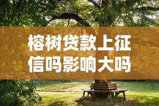 榕树贷款上征信吗影响大吗