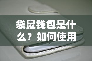 袋鼠钱包是什么？如何使用袋鼠钱包进行安全便捷的移动支付