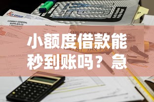 小额度借款能秒到账吗？急需快速到账的借款渠道推荐