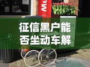 征信黑户能否坐动车解答