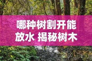 哪种树割开能放水 揭秘树木泌液现象