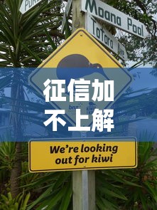 征信加不上解决方法与技巧分享