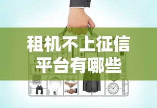 租机不上征信平台有哪些