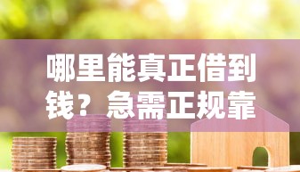哪里能真正借到钱？急需正规靠谱的借款渠道