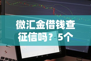 微汇金借钱查征信吗？5个真实能下款的黑户借贷平台评测
