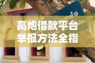 高炮借款平台举报方法全指南