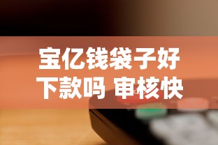 宝亿钱袋子好下款吗 审核快放款稳的贷款平台推荐