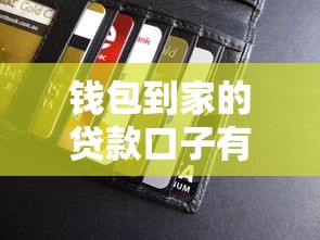 钱包到家的贷款口子有哪些