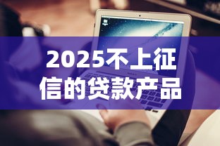 2025不上征信的贷款产品推荐