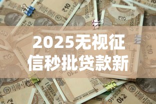2025无视征信秒批贷款新渠道