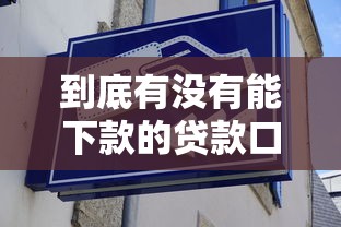 到底有没有能下款的贷款口子