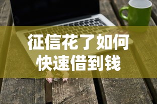 征信花了如何快速借到钱