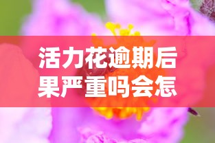 活力花逾期后果严重吗会怎样