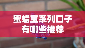 蜜蜡宝系列口子有哪些推荐