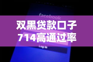 双黑贷款口子714高通过率秒下款