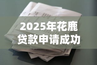 2025年花鹿贷款申请成功指南