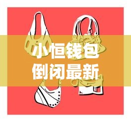 小恒钱包倒闭最新动态解析
