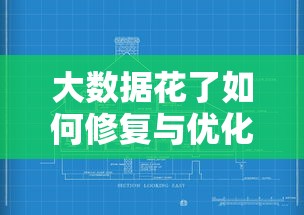 大数据花了如何修复与优化指南