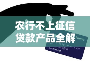 农行不上征信贷款产品全解析