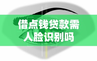 借点钱贷款需人脸识别吗