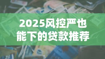 2025风控严也能下的贷款推荐
