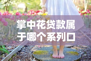 掌中花贷款属于哪个系列口子