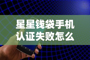 星星钱袋手机认证失败怎么办？教你三步快速通过实名认证